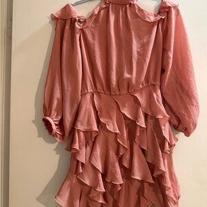 Zara Dusty Rose Ruffle Mini Dress